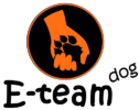 E-Team-logo-trasparente