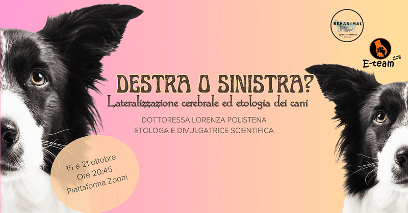 Webinar lateralizzazione cerebrale-eteamdog-behanimal-2024