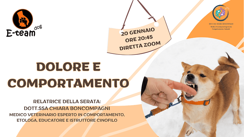 webinar-dolore-comportaemnto-eteamdog