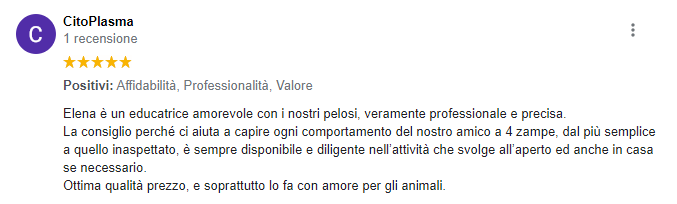 Immagine 2022-07-31 105837